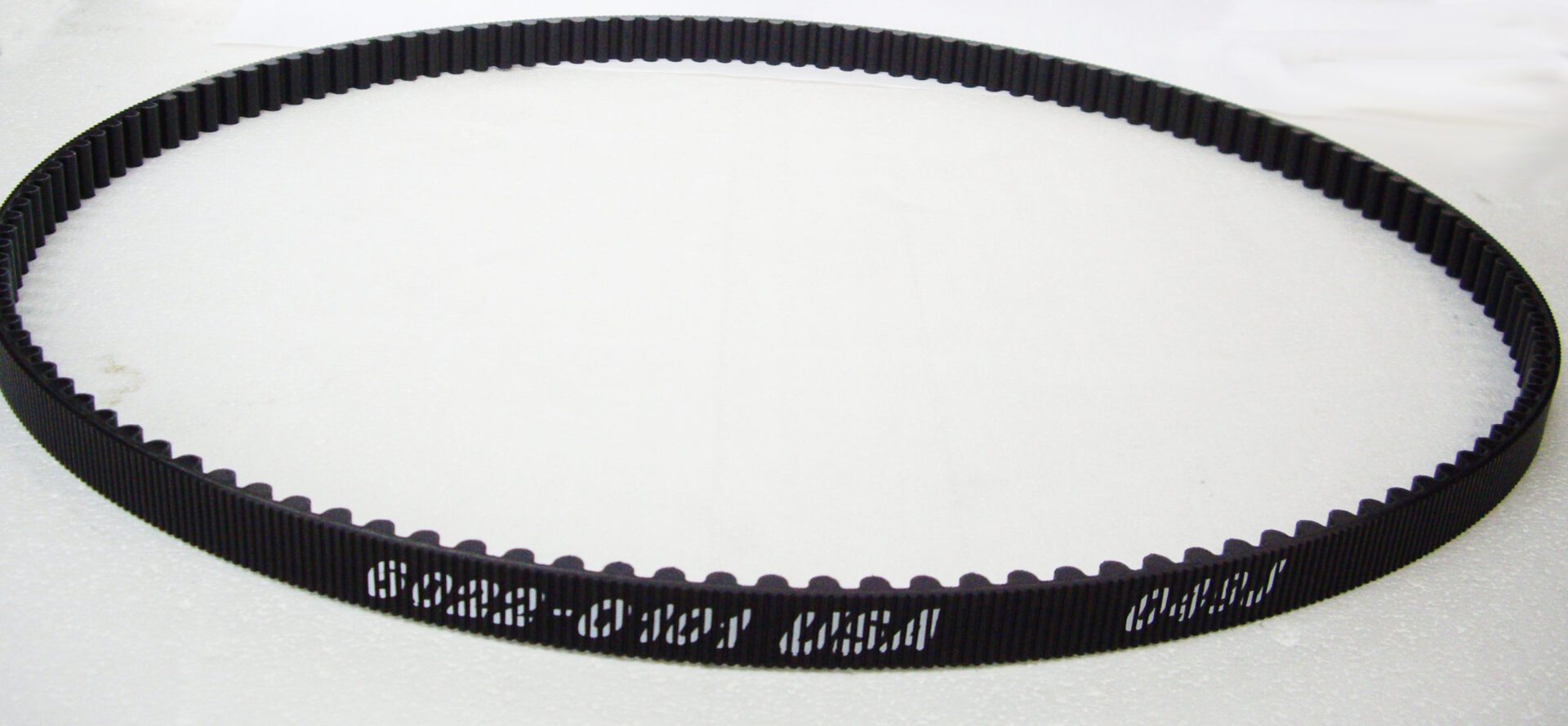 A close up of the belt on a white background