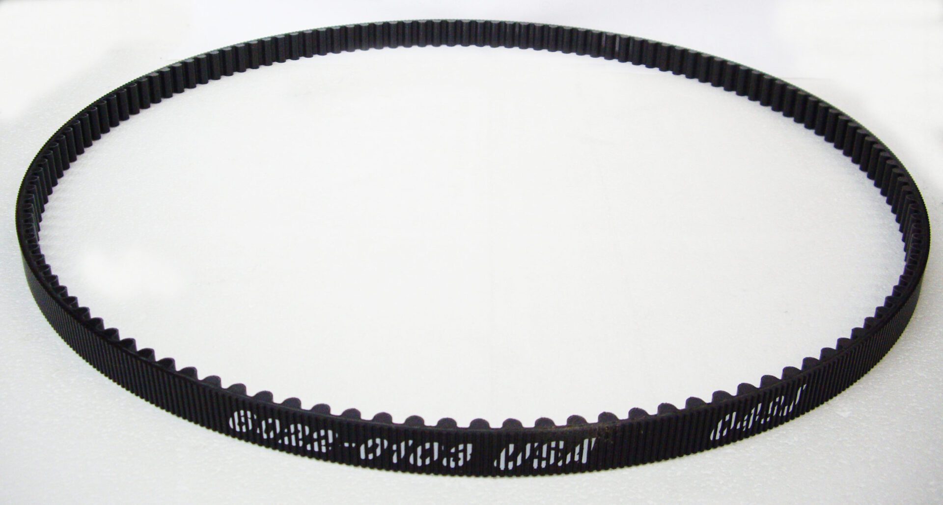 A close up of the belt on a white background