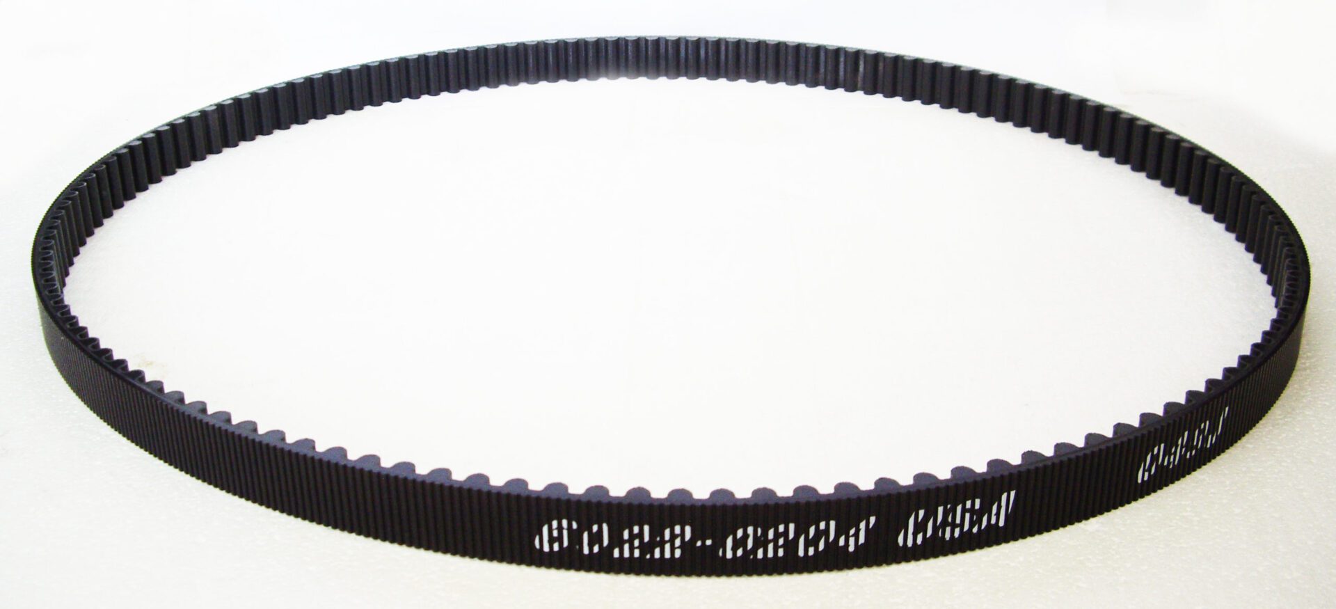 A close up of the belt on a white background