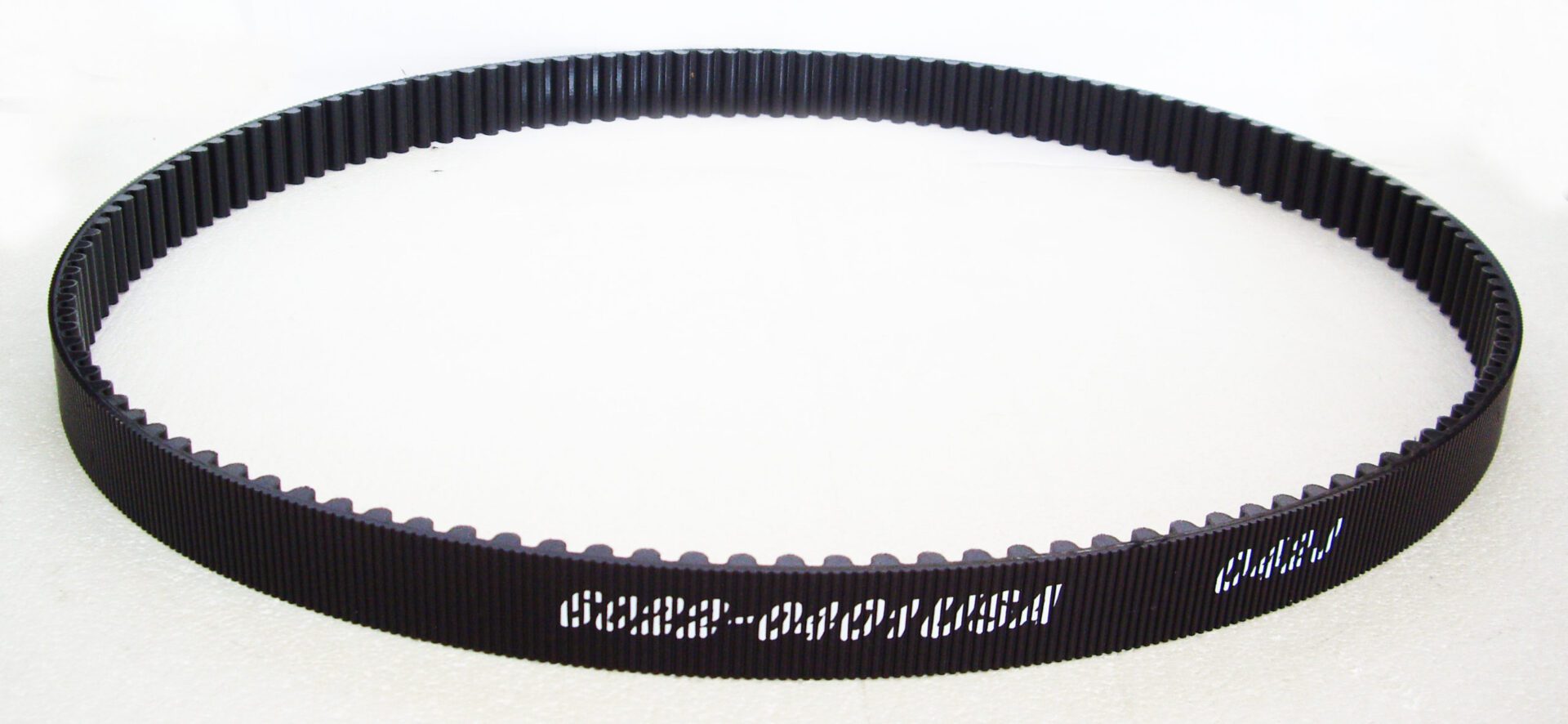 A close up of the belt on a white background