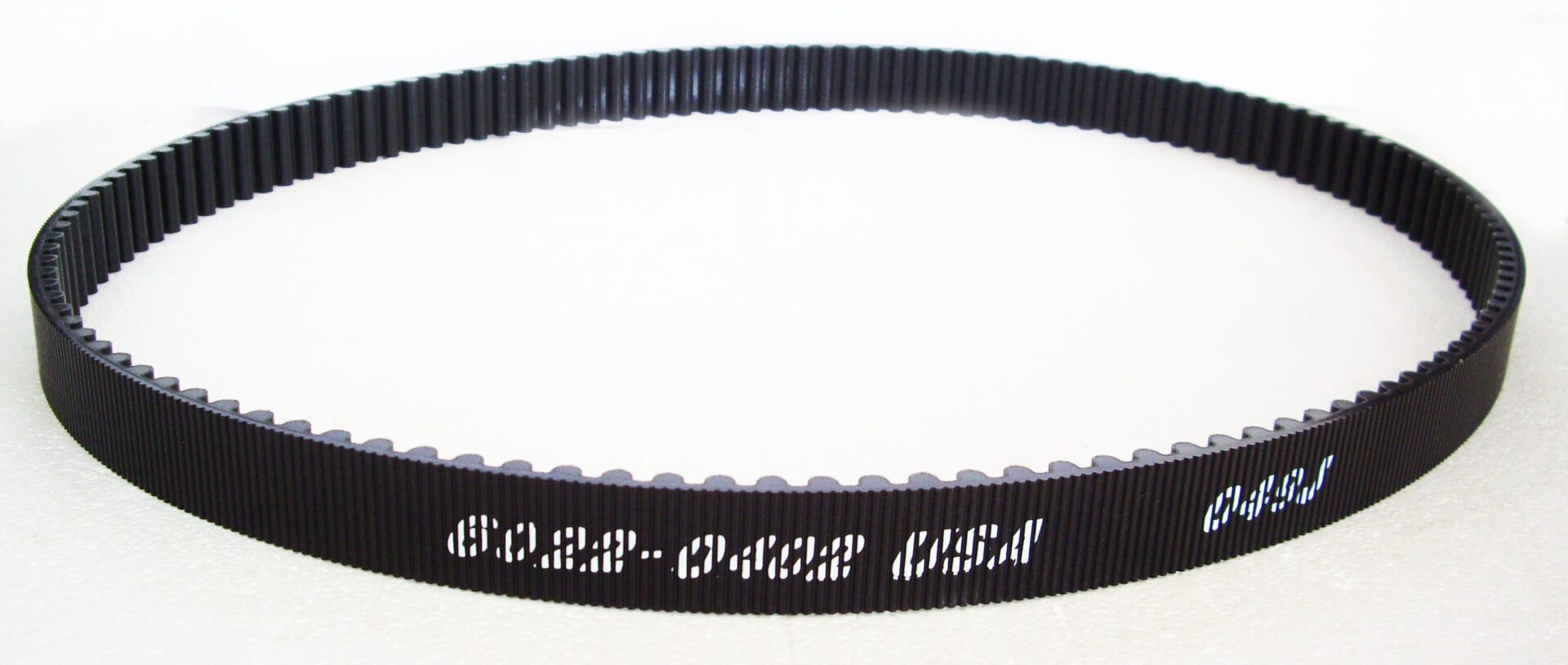 A close up of the belt on a white background